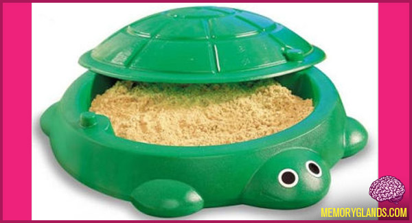 funny turtle sandbox photo