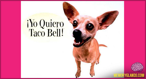 funny taco bell commercial dog