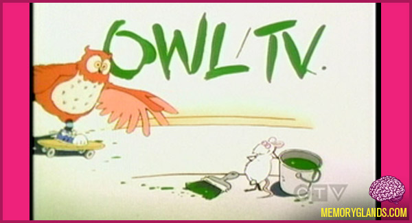 funny owl tv show photo